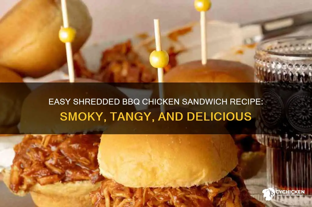 how to make shredded barbeque chicken sandwich recipe