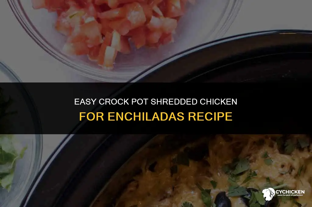 how to make shredded chicken for enchiladas in crock pot