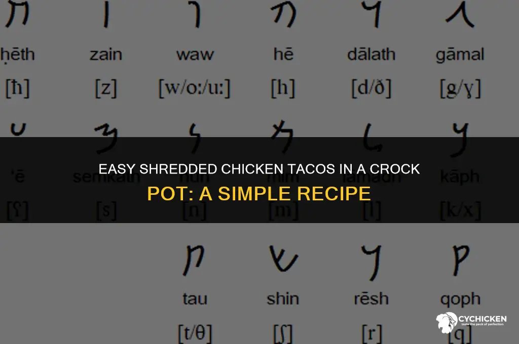 how to make shredded chicken tacos in crock pot