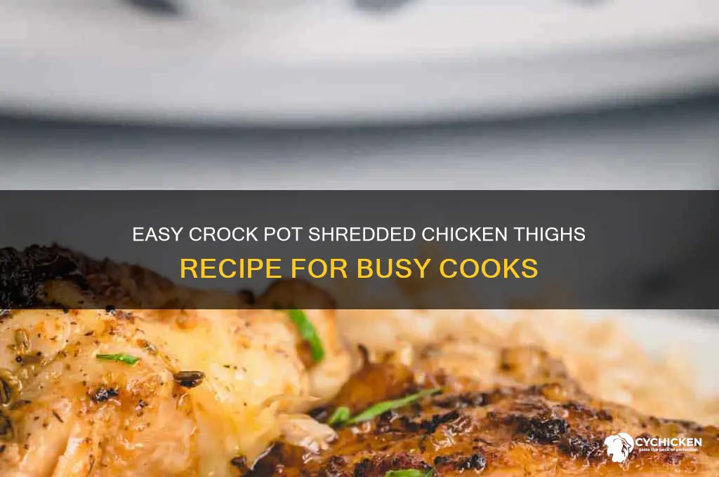how to make shredded chicken thighs in crock pot