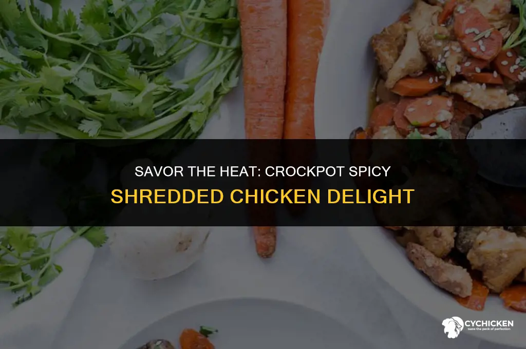 how to make spicy shredded chicken in crock pot