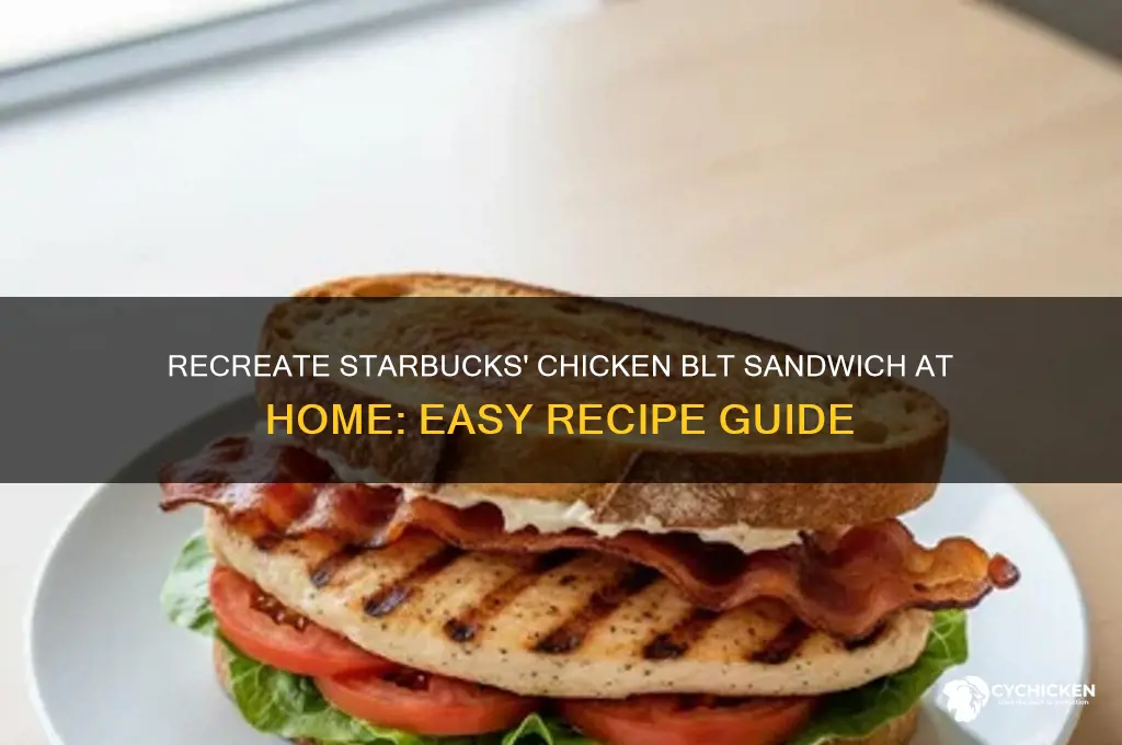 how to make starbucks chicken blt sandwich