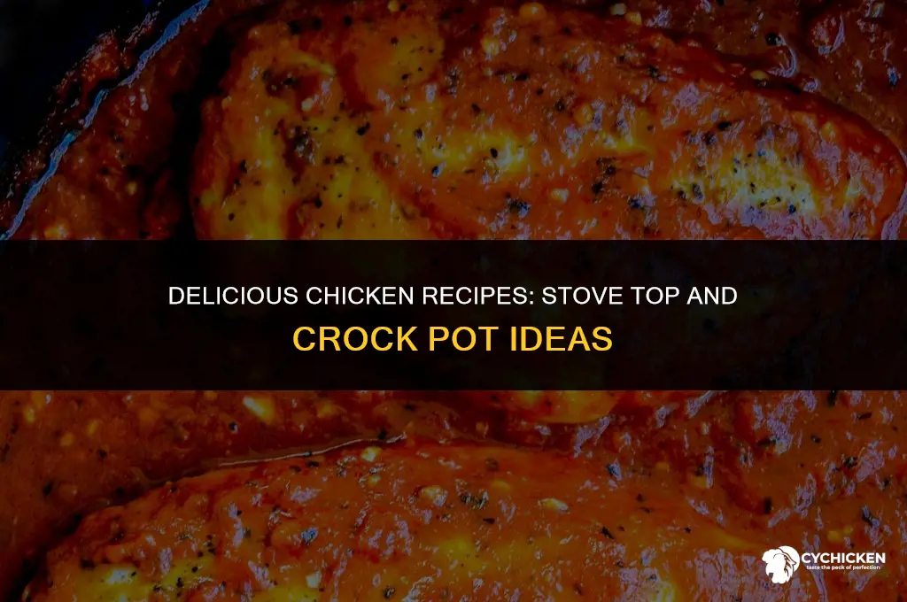 how to make stove top and chicken in crock pot
