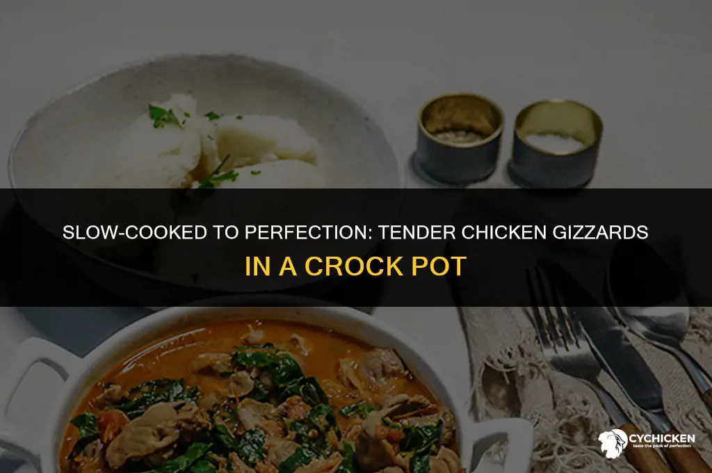 how to make tender chicken gizzards in crock pot
