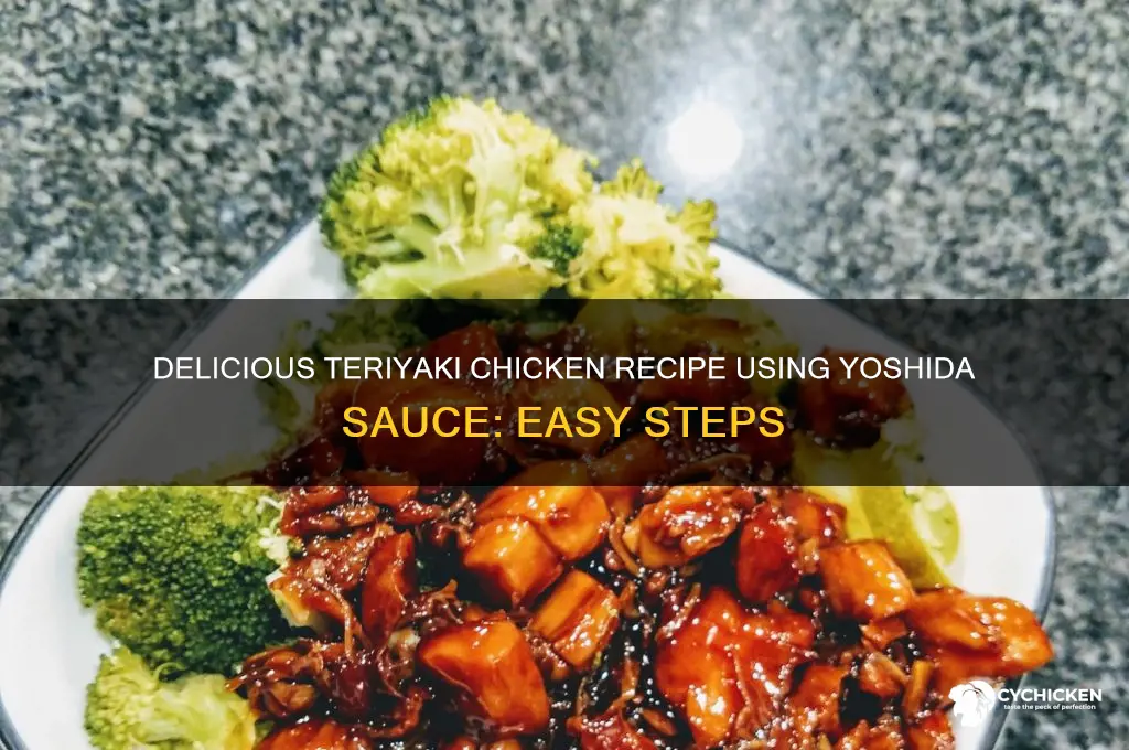 how to make teriyaki chicken with yoshida sauce