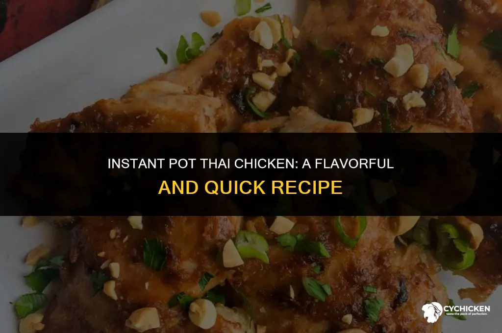 how to make thai chicken in instant pot