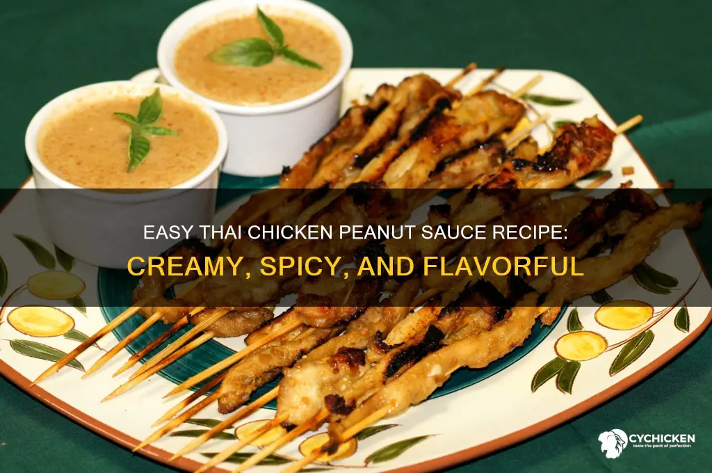 how to make thai chicken peanut sauce