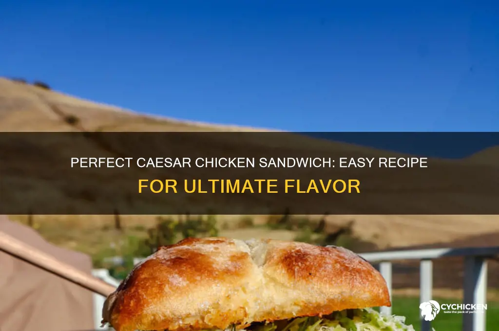 how to make the best caesar chicken sandwich recipe