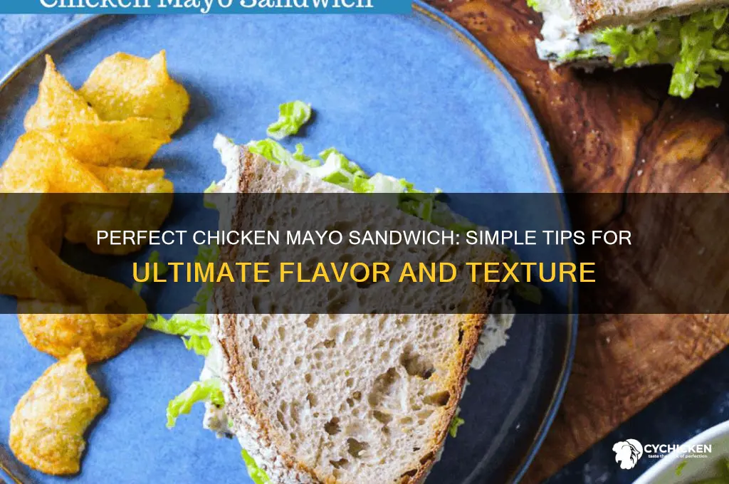how to make the best chicken and mayo sandwich