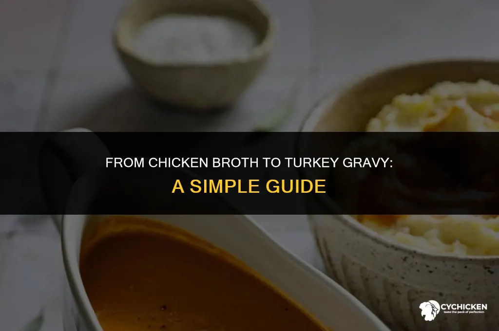how to make turkey gravy out of chicken broth
