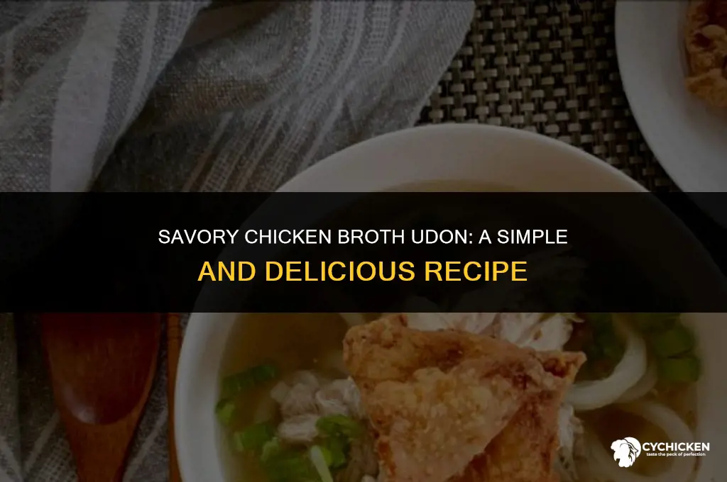 how to make udon with chicken broth