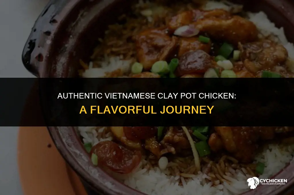how to make vietnamese clay pot chicken