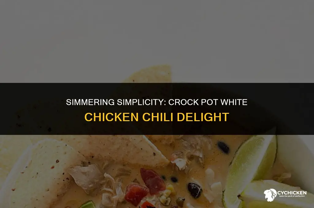 how to make white chicken chili in a crock pot