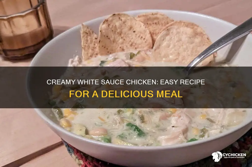 how to make white sauce chicken