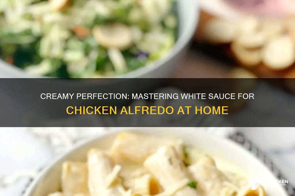 how to make white sauce for chicken alfredo