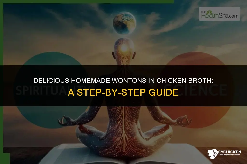how to make wontons with chicken broth