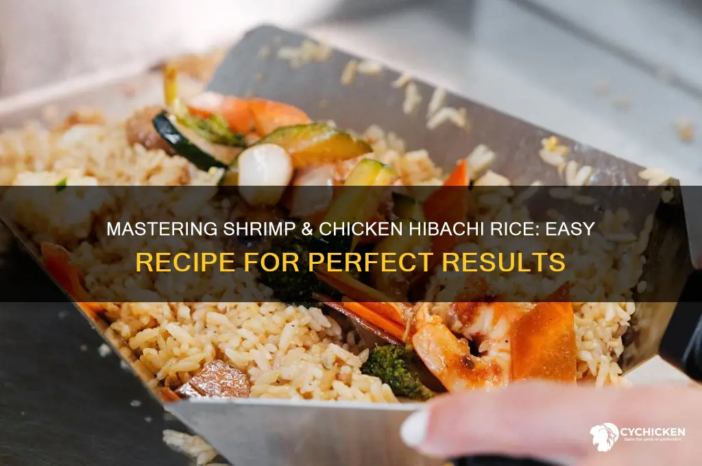 how to makeshrimp and chicken hibachi rice