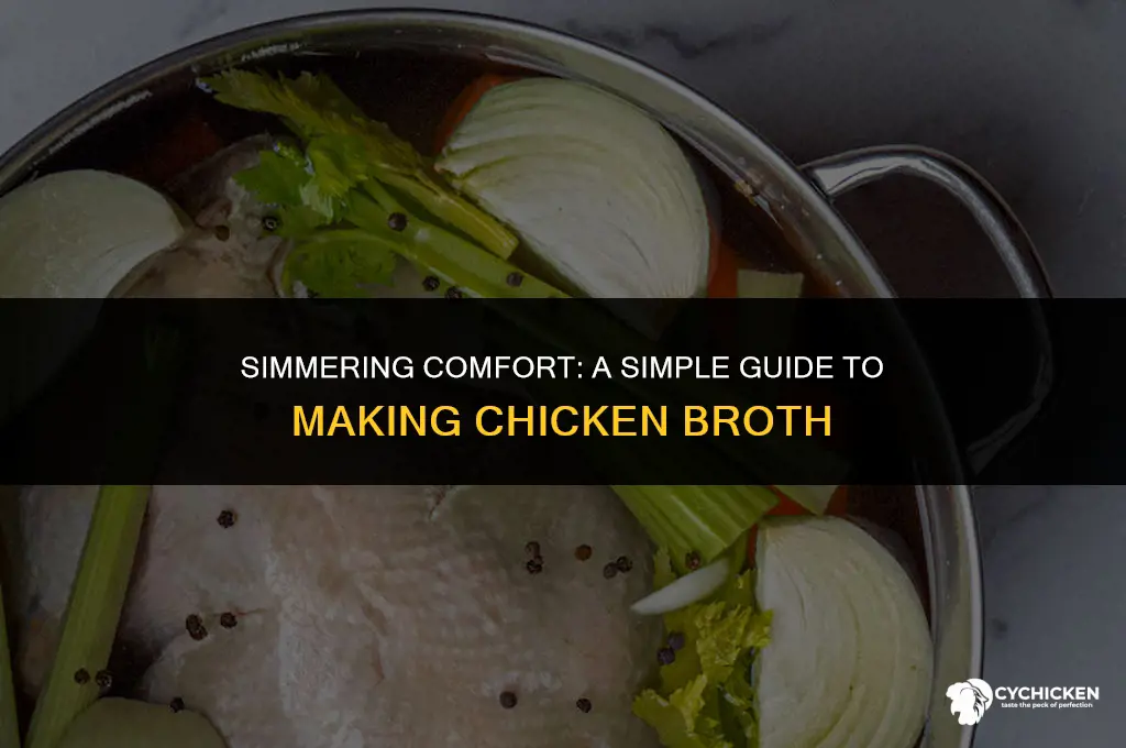how to makw chicken broth