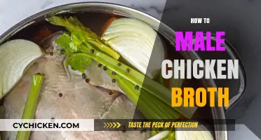 From Scratch: The Art of Making Rich and Flavorful Chicken Broth