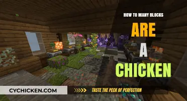 Understanding the Minecraft Measurement: Blocks to Chickens Explained