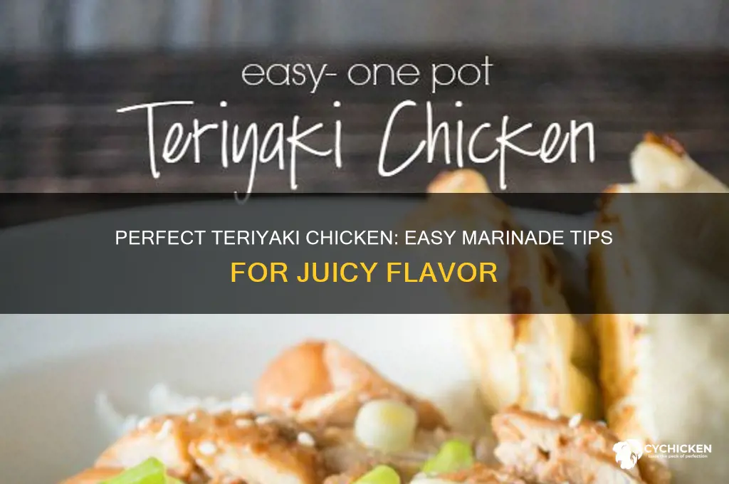 how to marinade chicken in teriyaki sauce