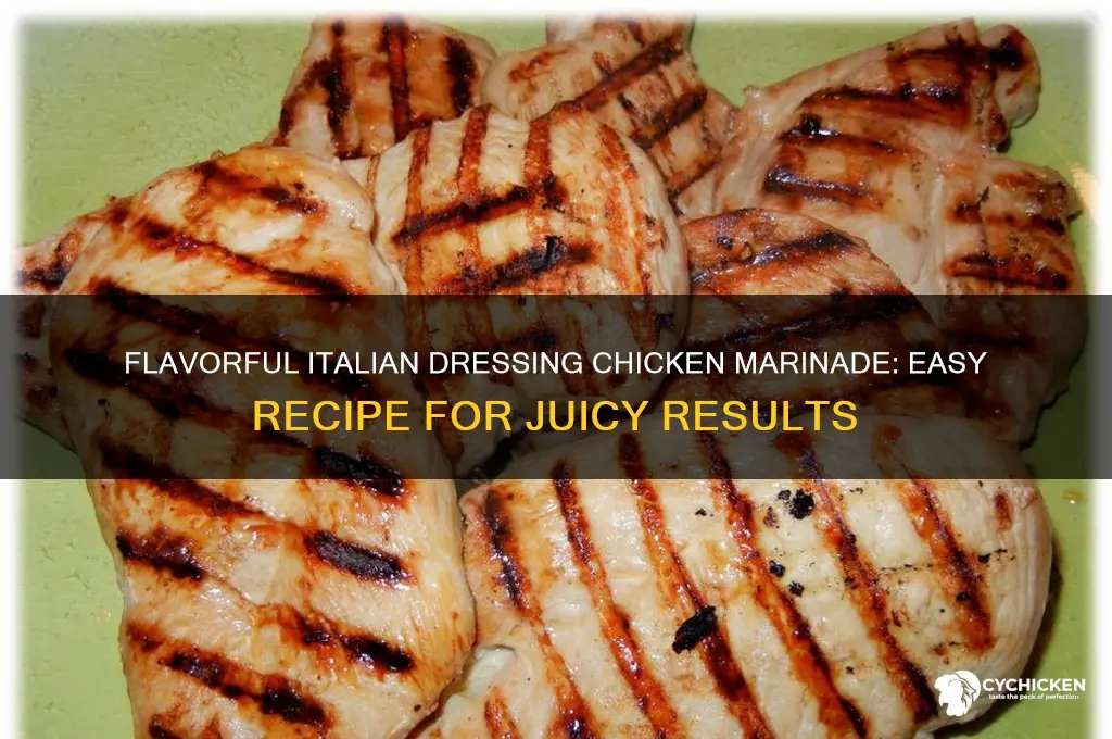 how to marinade chicken with italian dressing