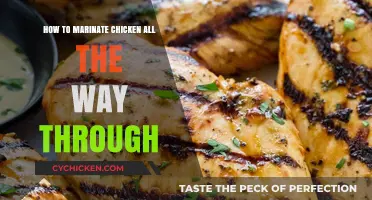 Mastering Marinades: Tips for Flavorful, Evenly Seasoned Chicken Every Time
