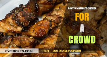 Mastering Chicken Marinades: Tips for Flavorful Batches to Feed a Crowd