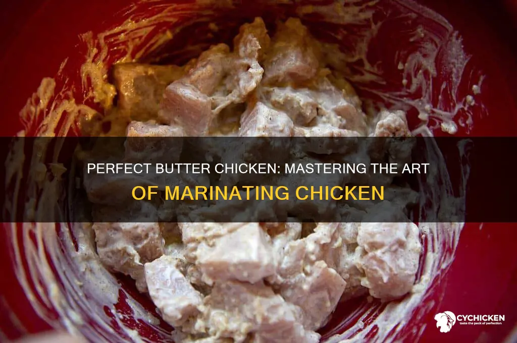 how to marinate chicken for butter chicken