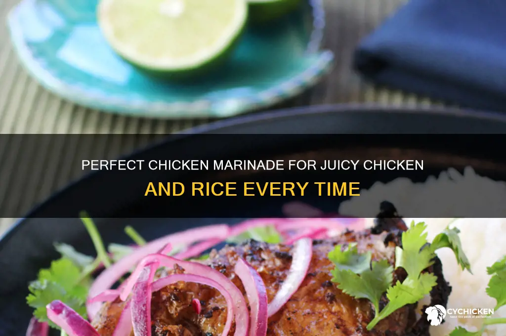 how to marinate chicken for chicken and rice