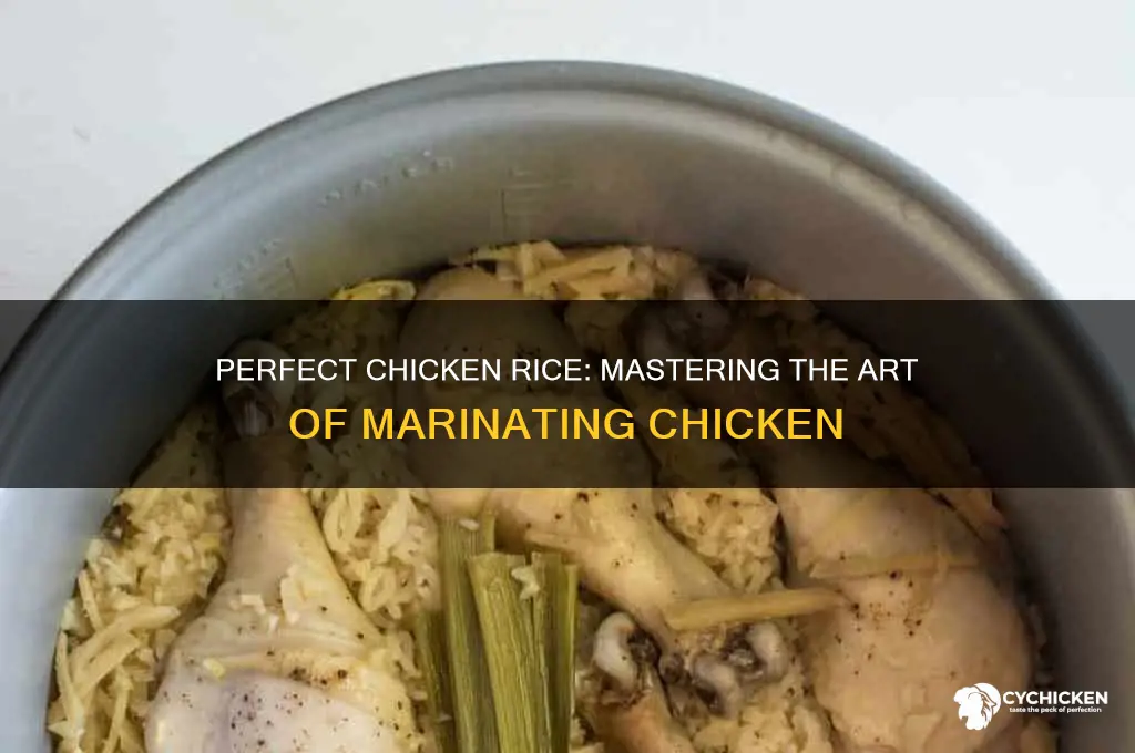 how to marinate chicken for chicken rice