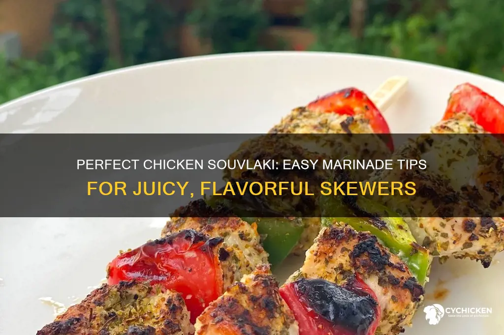 how to marinate chicken for chicken souvlaki