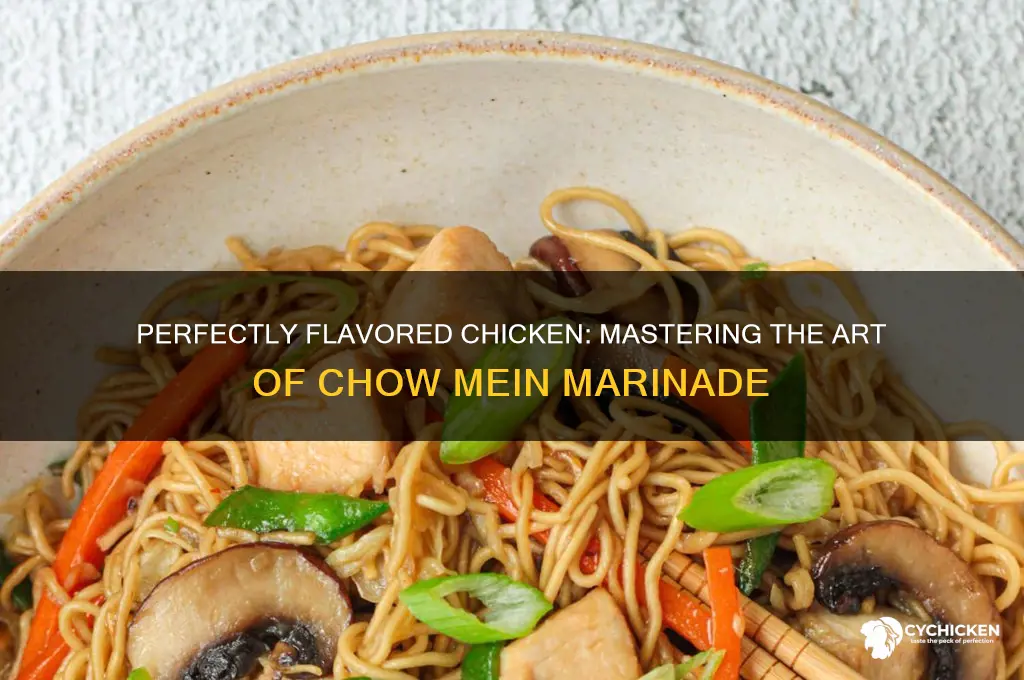 how to marinate chicken for chow mein