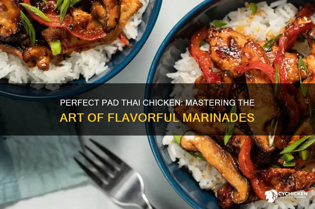 how to marinate chicken for pad thai