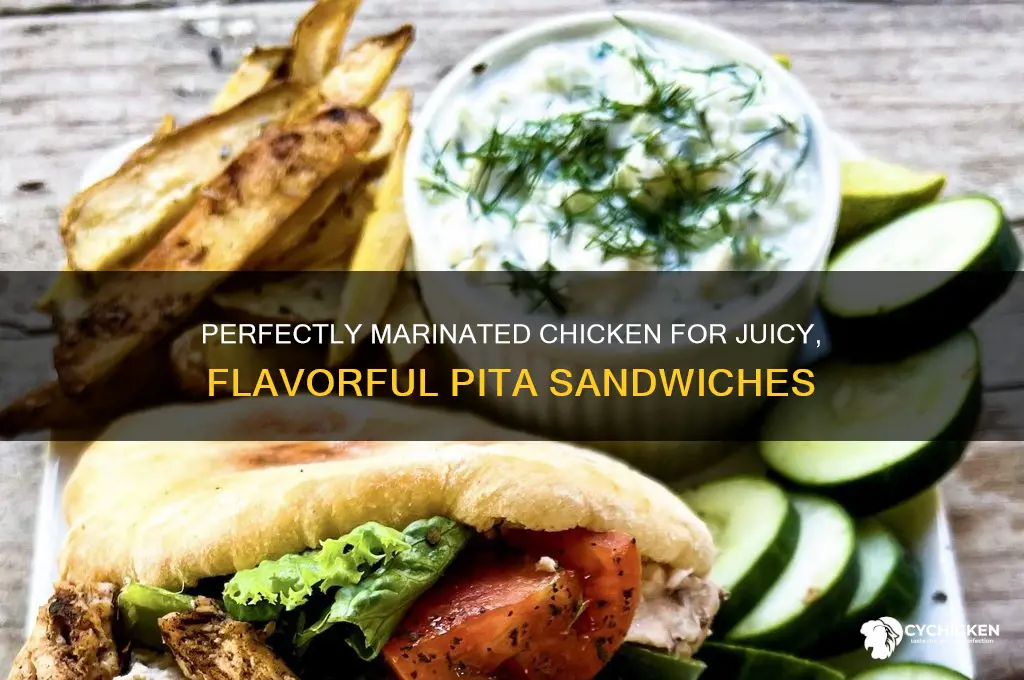 how to marinate chicken for pita sandwich