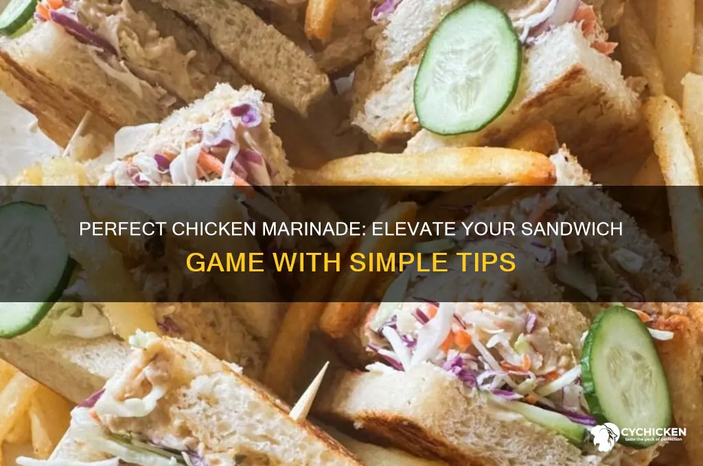 how to marinate chicken for sandwich