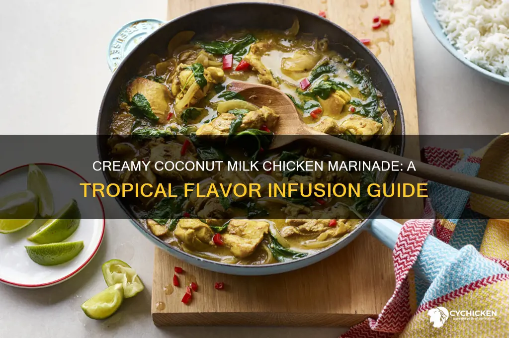 how to marinate chicken in coconut milk