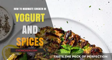 Yogurt Spice Marinade: Perfectly Tender Chicken Every Time