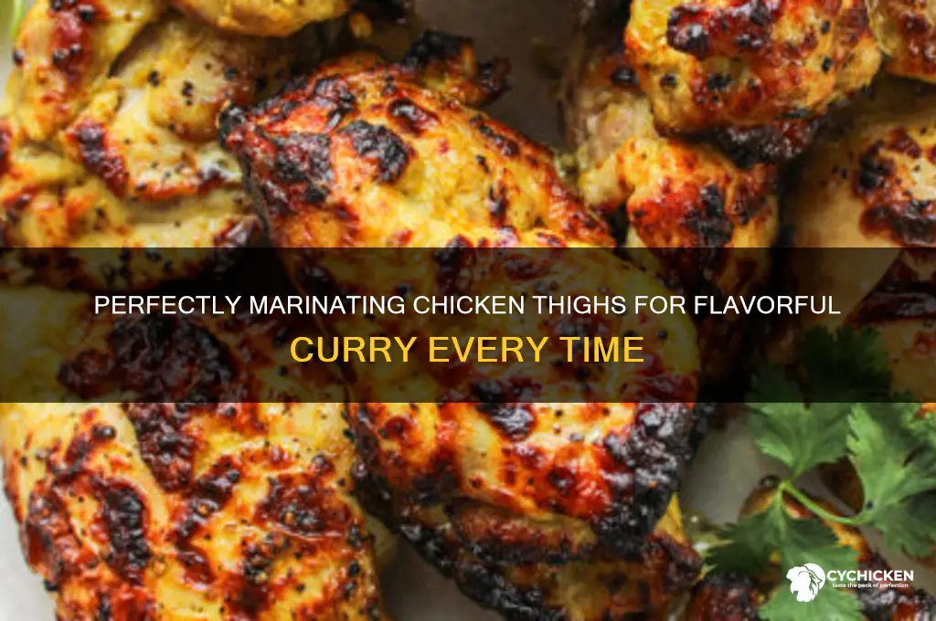 how to marinate chicken thigh for curry