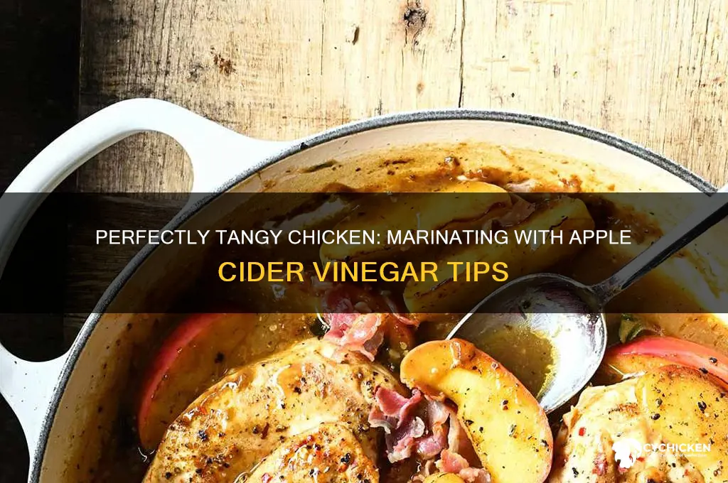 how to marinate chicken with apple cider vinegar