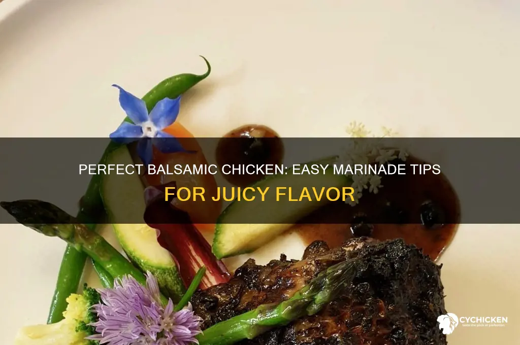 how to marinate chicken with balsamic vinegar
