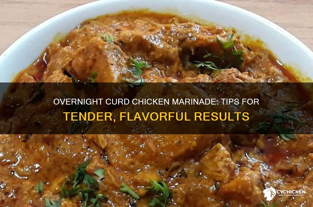 how to marinate chicken with curd overnight