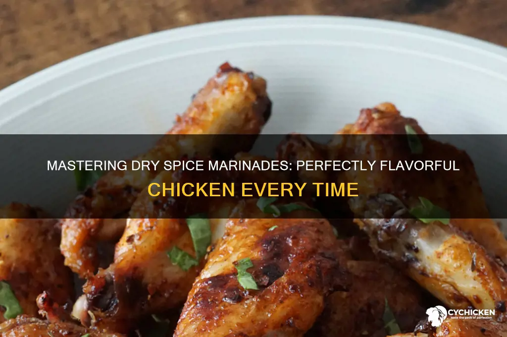 how to marinate chicken with dry spices