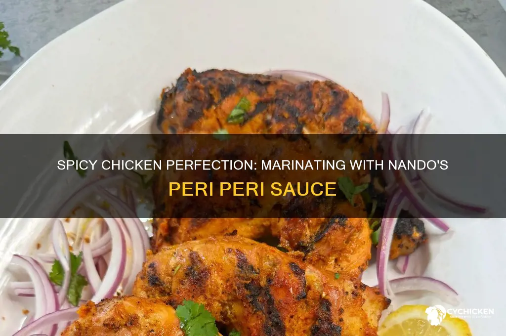 how to marinate chicken with nando