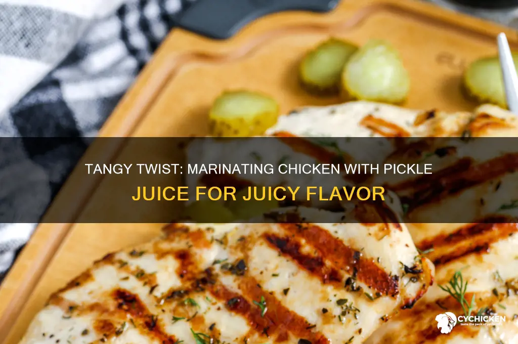 how to marinate chicken with pickle juice