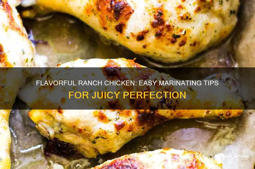 how to marinate chicken with ranch seasoning
