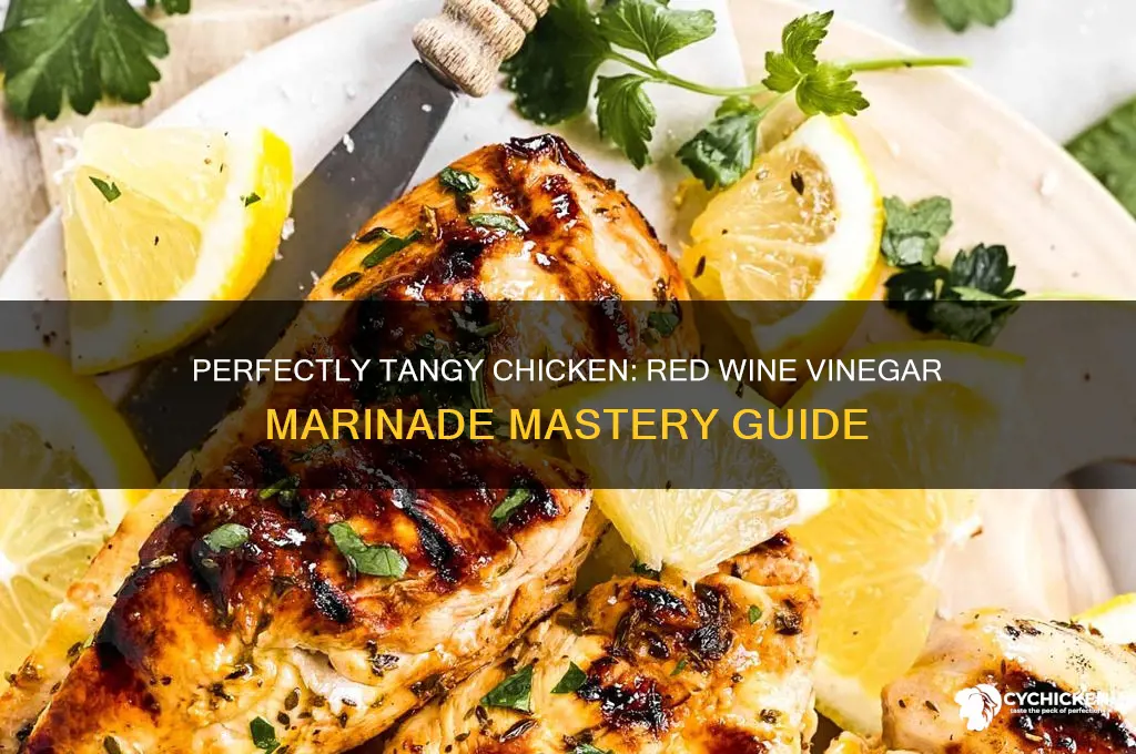 how to marinate chicken with red wine vinegar