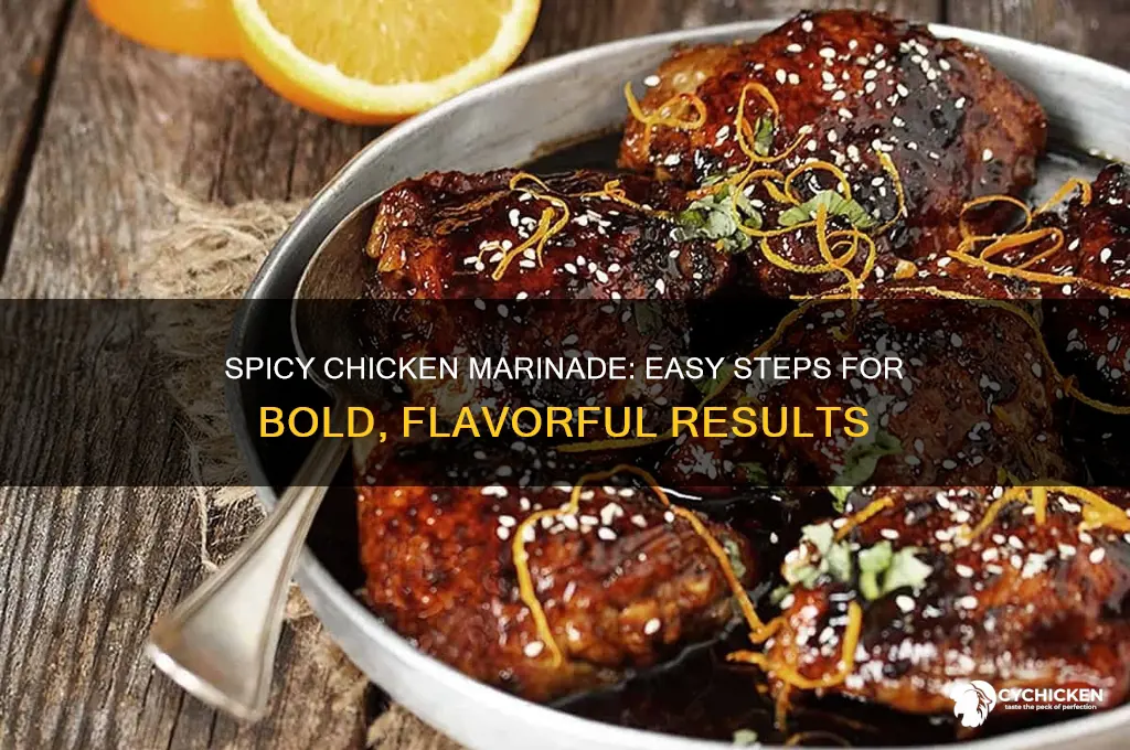 how to marinate chicken with spicy seasoning