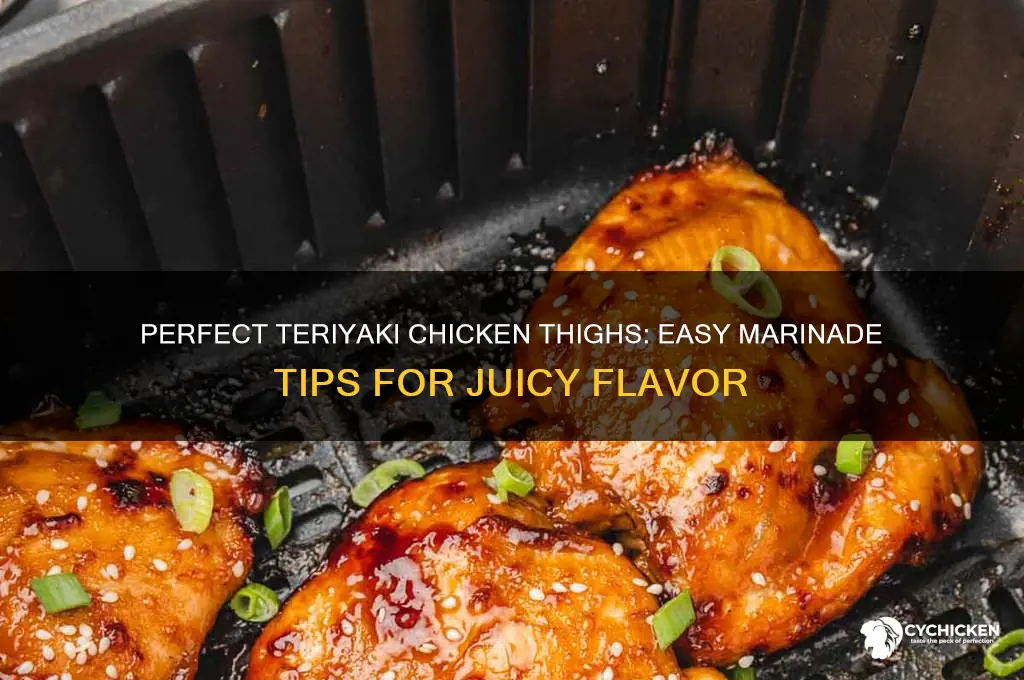 how to marinate teriyaki chicken thighs