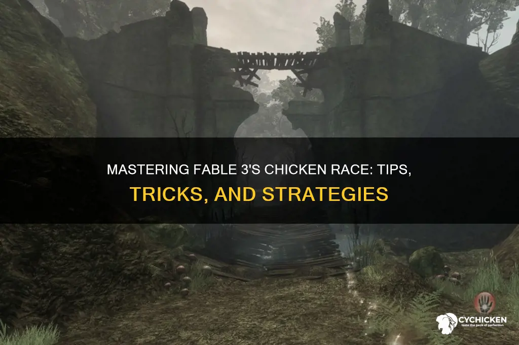 how to master chicken race fable 3